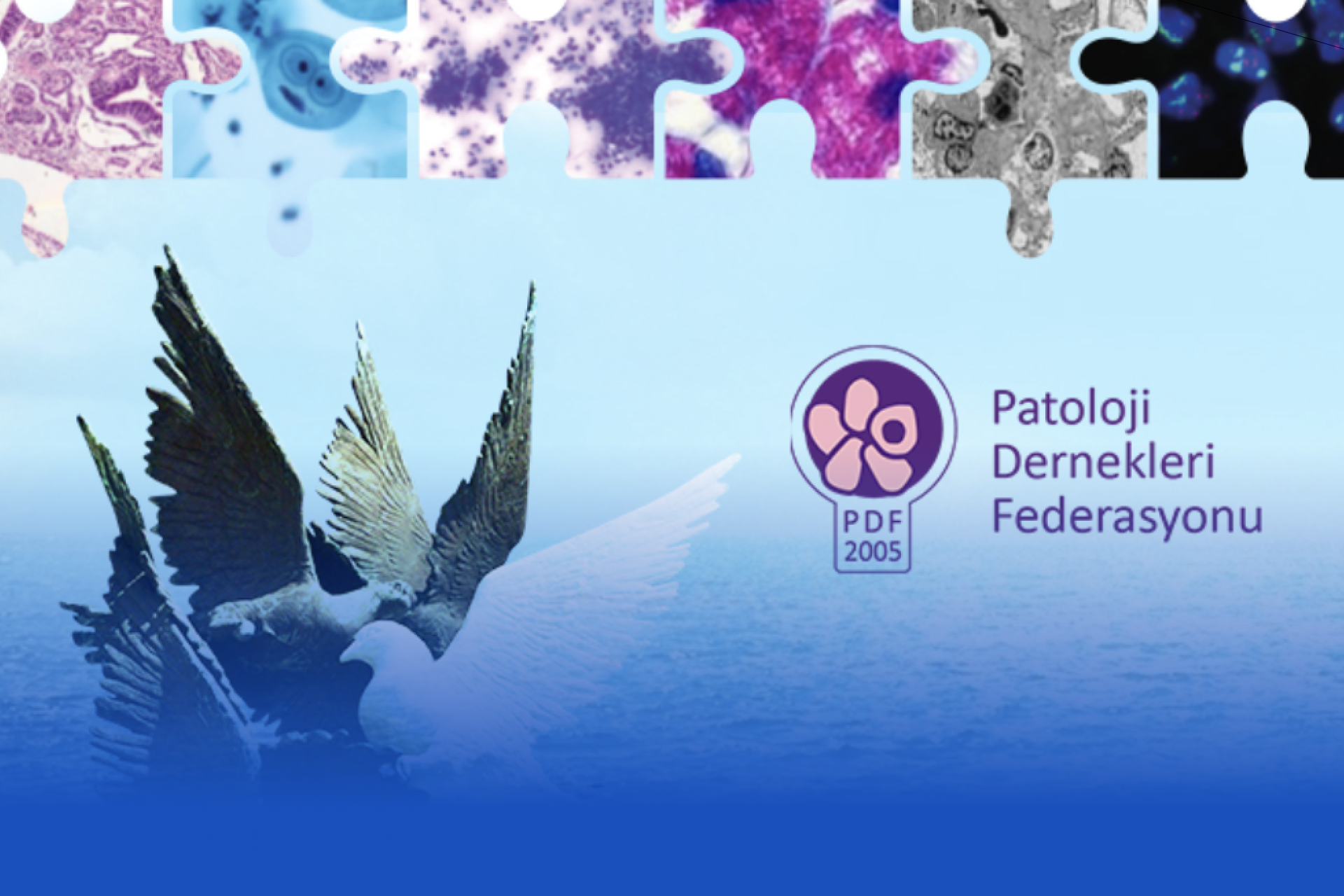 31st National Pathology Congress