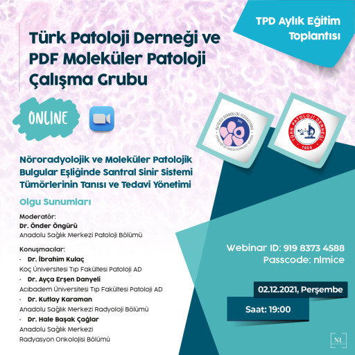 Nöroradyolojik ve Moleküler Patolojik Bulgular Eşliğinde Santral Sinir Sistemi Tümörlerinin Tanısı ve Tedavi Yönetimi - Olgu Sunumları