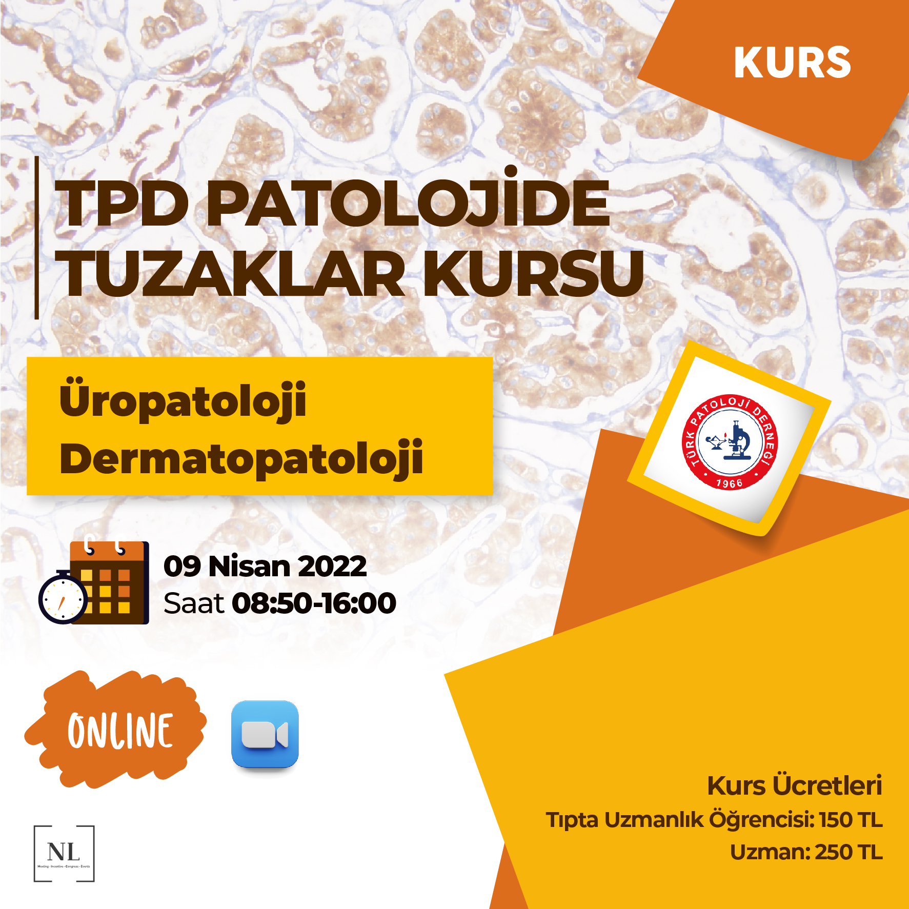 Patolojide Tuzaklar Kursu Üropatoloji-Dermatopatoloji