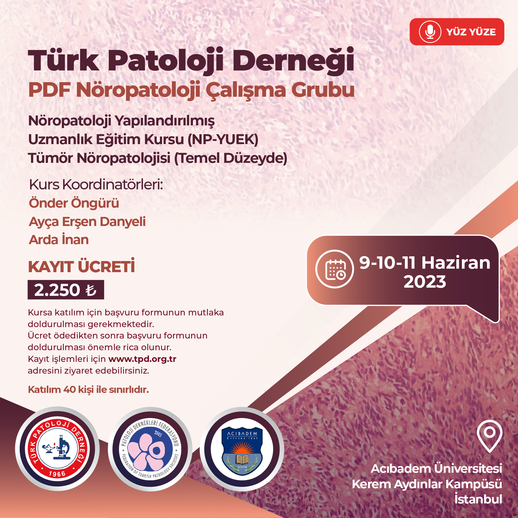 Nöropatoloji Yapılandırılmış Uzmanlık Eğitim Kursu (NP-YUEK)