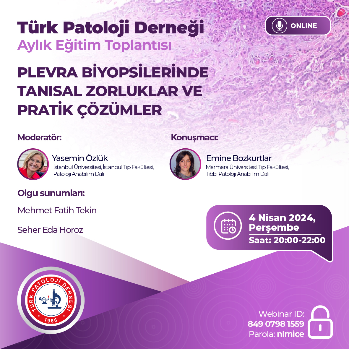 Plevra Biyopsilerinde Tanısal Zorluklar ve Pratik Çözümler