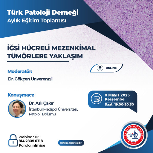 İğsi Hücreli Mezenkimal Tümörlere Yaklaşım
