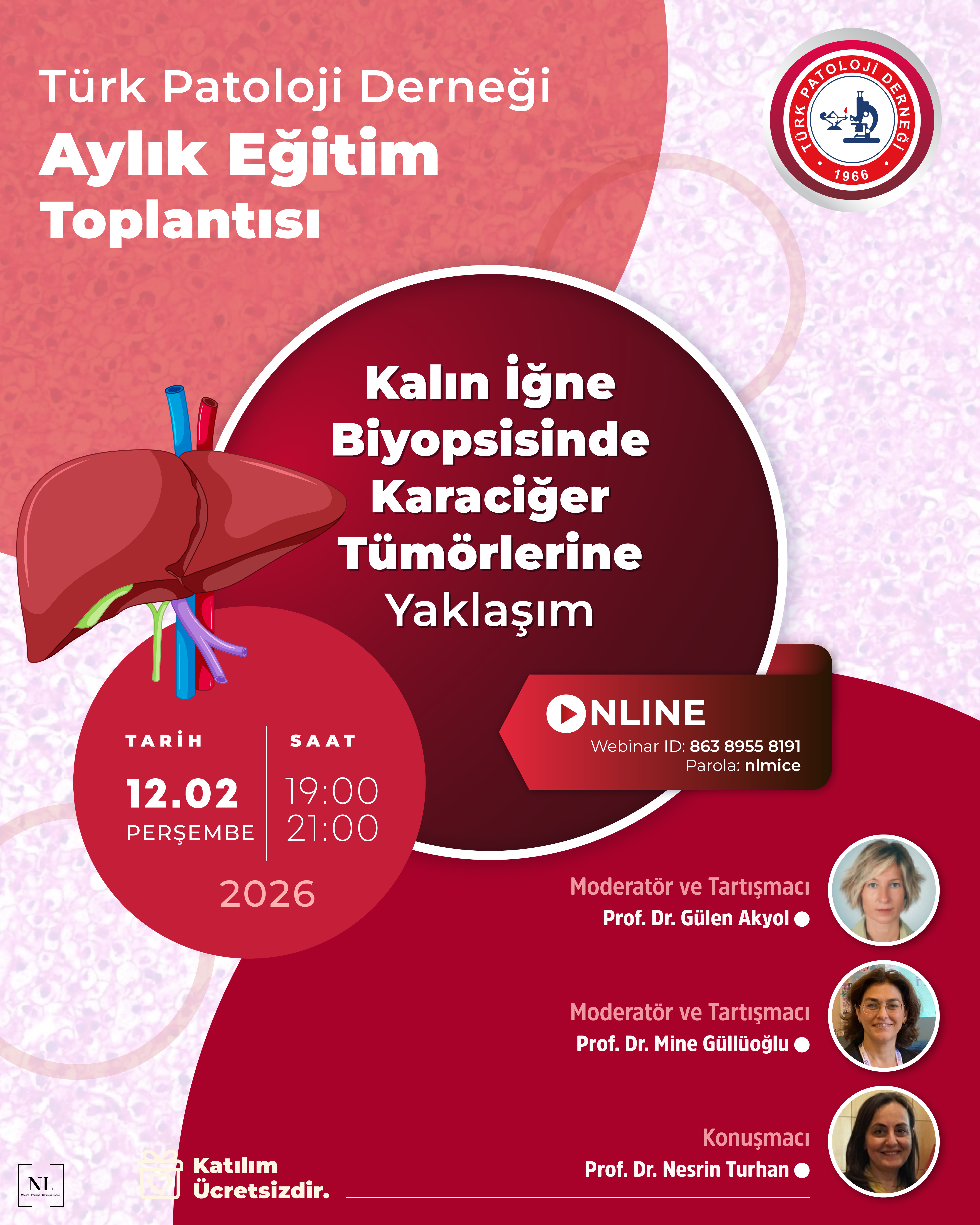 Kalın İğne Biyopsisinde Karaciğer Tümörlerine Yaklaşım